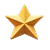 gold star